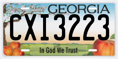 GA license plate CXI3223