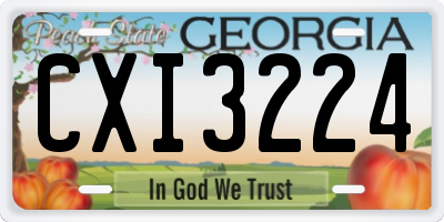 GA license plate CXI3224