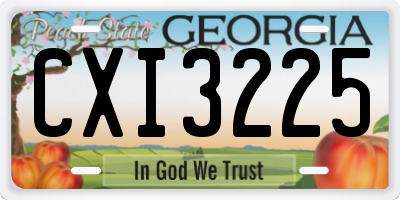 GA license plate CXI3225
