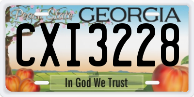 GA license plate CXI3228