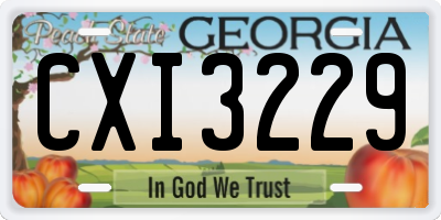 GA license plate CXI3229