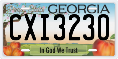 GA license plate CXI3230