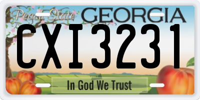 GA license plate CXI3231