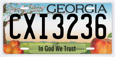 GA license plate CXI3236