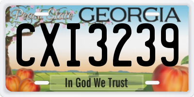 GA license plate CXI3239