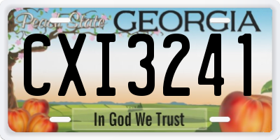 GA license plate CXI3241