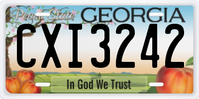 GA license plate CXI3242