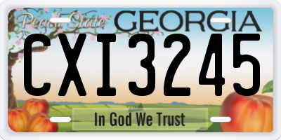 GA license plate CXI3245