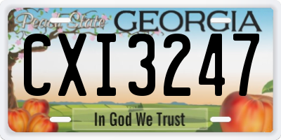 GA license plate CXI3247