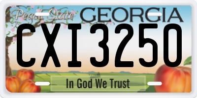 GA license plate CXI3250