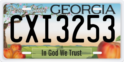 GA license plate CXI3253