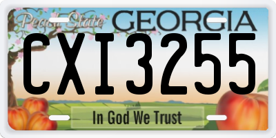 GA license plate CXI3255