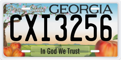 GA license plate CXI3256