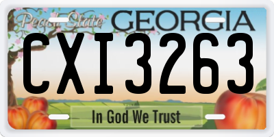 GA license plate CXI3263