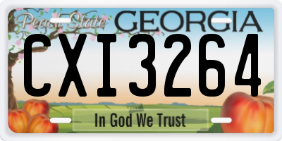 GA license plate CXI3264