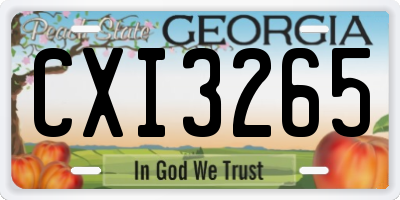 GA license plate CXI3265