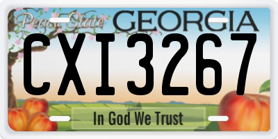 GA license plate CXI3267