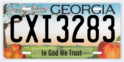 GA license plate CXI3283