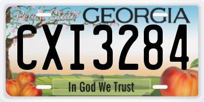 GA license plate CXI3284