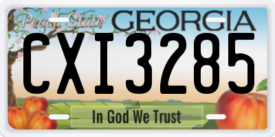 GA license plate CXI3285