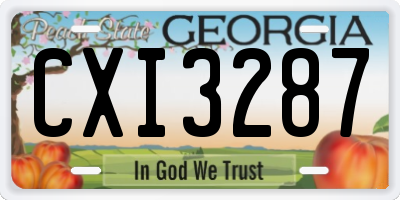 GA license plate CXI3287