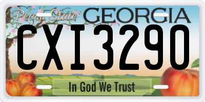 GA license plate CXI3290