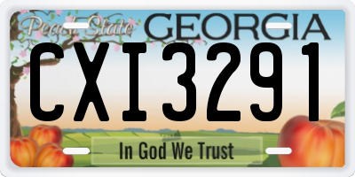 GA license plate CXI3291
