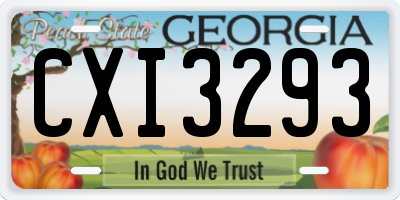 GA license plate CXI3293
