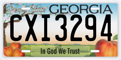 GA license plate CXI3294
