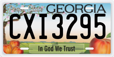 GA license plate CXI3295
