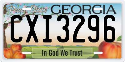 GA license plate CXI3296