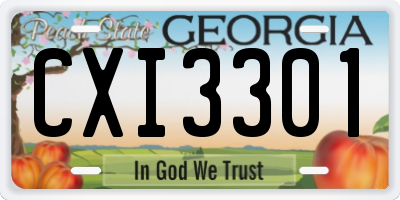 GA license plate CXI3301