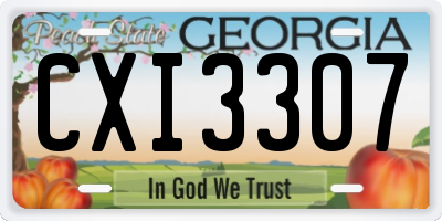 GA license plate CXI3307