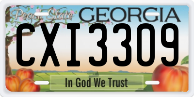 GA license plate CXI3309