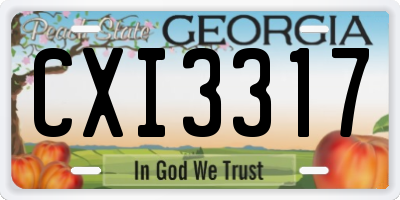 GA license plate CXI3317