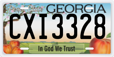 GA license plate CXI3328