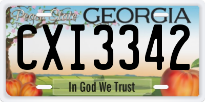 GA license plate CXI3342