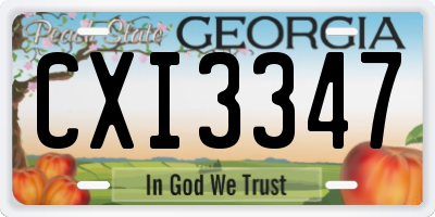 GA license plate CXI3347