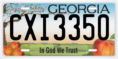 GA license plate CXI3350