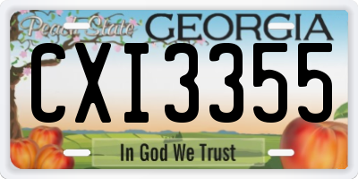 GA license plate CXI3355