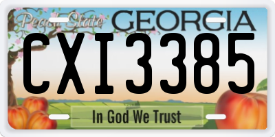 GA license plate CXI3385