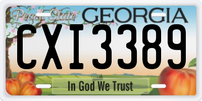 GA license plate CXI3389