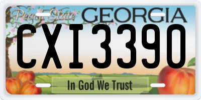 GA license plate CXI3390