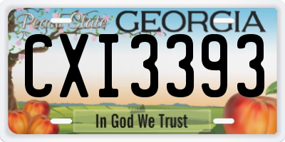 GA license plate CXI3393