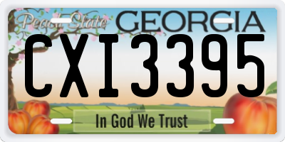 GA license plate CXI3395