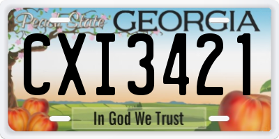 GA license plate CXI3421