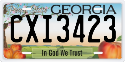 GA license plate CXI3423