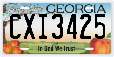 GA license plate CXI3425