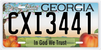 GA license plate CXI3441