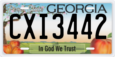 GA license plate CXI3442